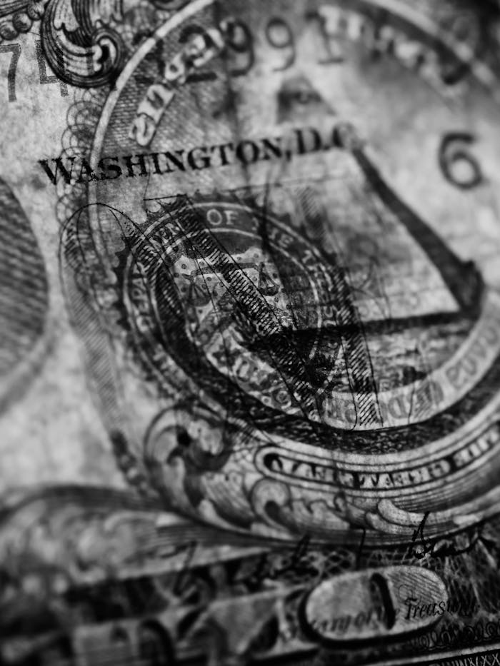 Detailed black and white close-up of a dollar bill showcasing texture and design.